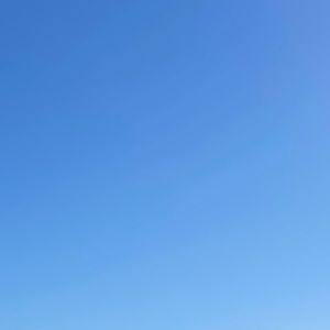 Meet your Posher, Amelia